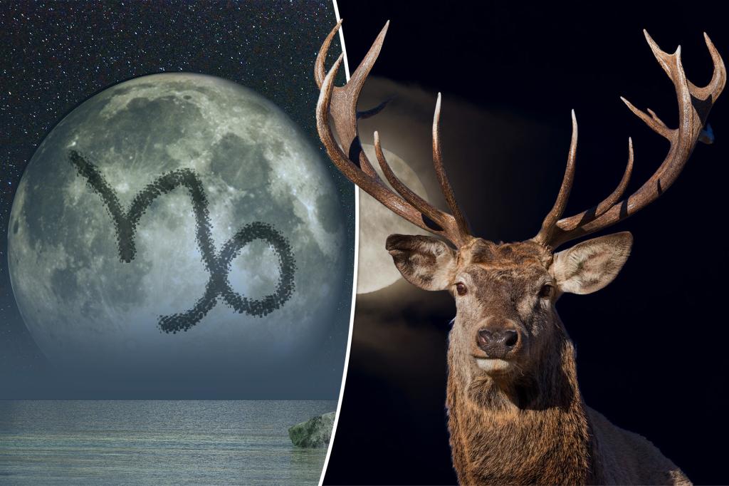 The July 2024 Full Moon in Capricorn will illuminate your limitations

