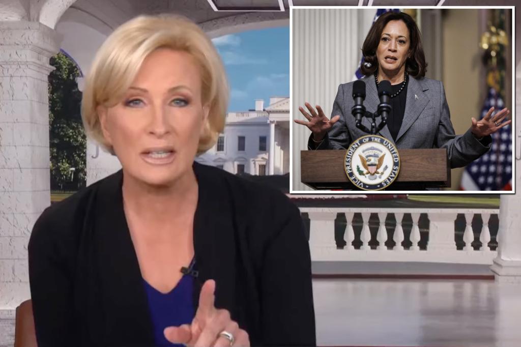 "Morning Joe" co-host Mika Brzezinski claims the right-wing "hate campaign" misspells Kamala Harris' name on purpose.

